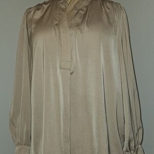 Banana Republic Women's TAN silky Blouse.